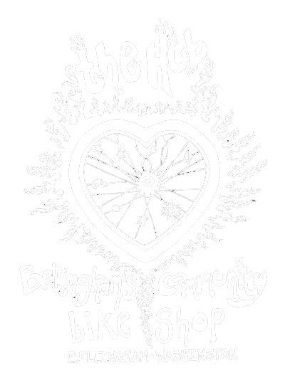 trek bike shop bellingham